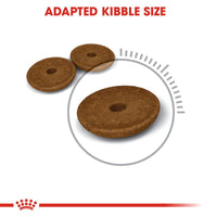 Royal Canin Digestive Care Cat Food