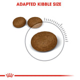 Royal Canin Hair & Skin Care Cat Food