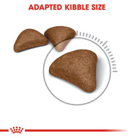 Royal Canin Hairball Care Cat Food