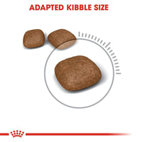 Royal Canin Urinary Care Cat Food