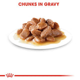 Royal Canin Digest Sensitive in Gravy Cat Food