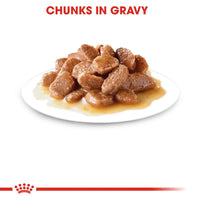 Royal Canin Hairball Care in Gravy Wet Cat Food
