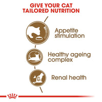 Royal Canin Ageing 12+ Cat Food