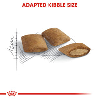 Royal Canin Ageing 12+ Cat Food