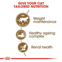 Royal Canin Ageing Sterilised 12+ Cat Food