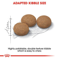 Royal Canin Ageing Sterilised 12+ Cat Food