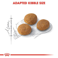 Royal Canin Exigent Fussy Cats - Aromatisches Katzenfutter 