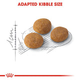 Royal Canin Exigent Fussy Cats - Aromatisches Katzenfutter 