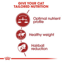 Royal Canin Regular Fit 32 Cat Food