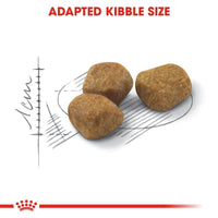 Royal Canin Regular Fit 32 Cat Food