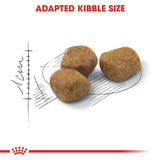 Royal Canin Regular Fit 32 Cat Food