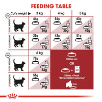 Royal Canin Regular Fit 32 Cat Food
