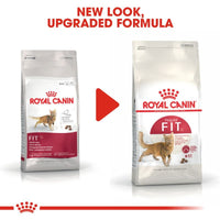 Royal Canin Regular Fit 32 Cat Food