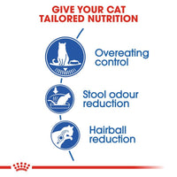 Royal Canin Indoor Appetite Control Cat Food