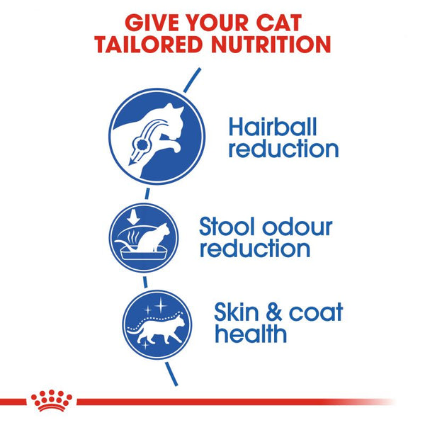 Royal canin indoor long hair cat hotsell