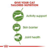 Nourriture pour chats d'extérieur Royal Canin