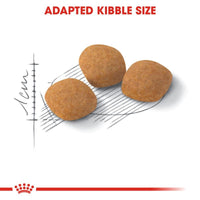 Royal Canin Exigent Fussy Cats - Protein Preference Cat Food