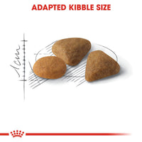 Royal Canin Exigent Fussy Cats - Savour Sensation Cat Food