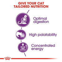 Royal Canin Sensible 33 Cat Food