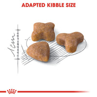 Royal Canin Sensible 33 Cat Food