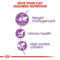 Royal Canin Sterilised 37 Cat Food