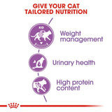 Royal Canin Sterilised 37 Cat Food