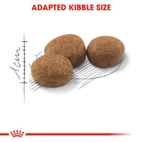 Royal Canin Sterilised 37 Cat Food