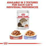 Royal Canin Ageing 12+ in Gravy Cat Food
