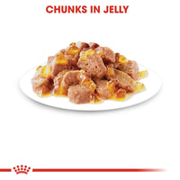 Royal Canin Instinctive in Jelly Wet Cat Food