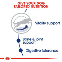 Royal Canin Maxi Adult 5+ Dog Food