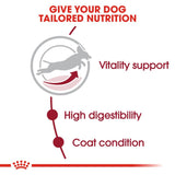 Royal Canin Medium Adult 7+ Dog Food