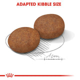 Royal Canin Medium Adult 7+ Dog Food
