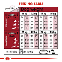 Royal Canin Medium Adult 7+ Dog Food