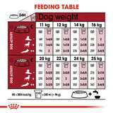 Royal Canin Medium Adult 7+ Dog Food