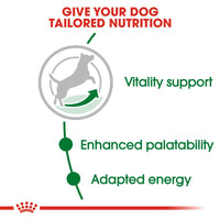 Royal Canin Mini Adult 8+ Dog Food