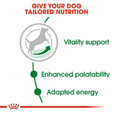 Royal Canin Mini Adult 8+ Dog Food