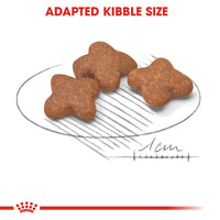 Royal Canin Mini Adult 8+ Dog Food