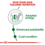 Royal Canin Mini Adult Dog Food