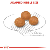 Royal Canin X-Small Nourriture pour chiens adultes