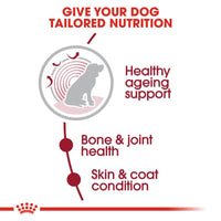Royal Canin Medium Ageing 10+ Dog Food