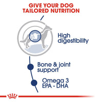 Royal Canin Maxi Adult in Gravy Dog Food