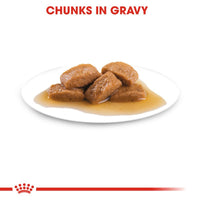Royal Canin Maxi Adult in Gravy Dog Food