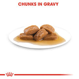 Royal Canin Maxi Adult in Gravy Dog Food