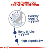 Royal Canin Maxi Ageing 8+ in Soße Hundefutter