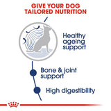 Royal Canin Maxi Ageing 8+ in Soße Hundefutter