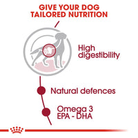 Royal Canin Medium Adult en sauce, nourriture pour chiens