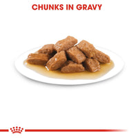 Royal Canin Medium Adult en sauce, nourriture pour chiens