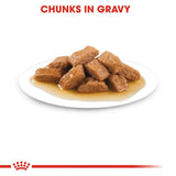 Royal Canin Medium Adult en sauce, nourriture pour chiens