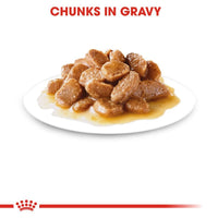 Royal Canin Mini Adult in Gravy Dog Food