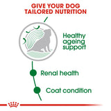 Royal Canin Mini Ageing 12+ in Gravy Dog Food